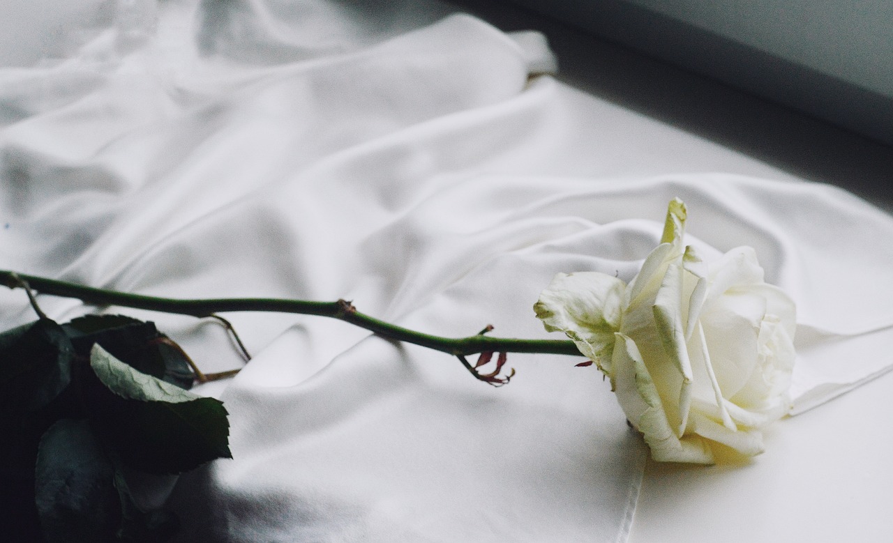 Uma rosa branca em cima de um tecido branco brilhante